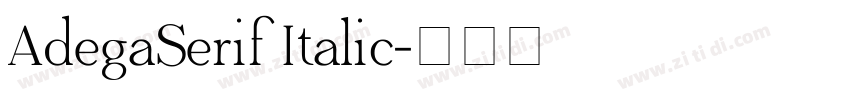 AdegaSerif Italic字体转换